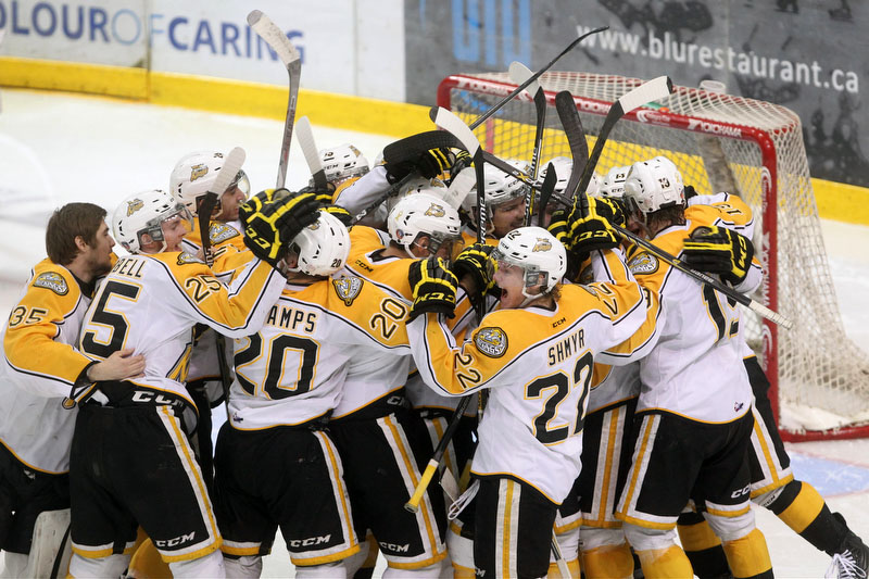 Brandon Wheat Kings Brandon Wheat Kings