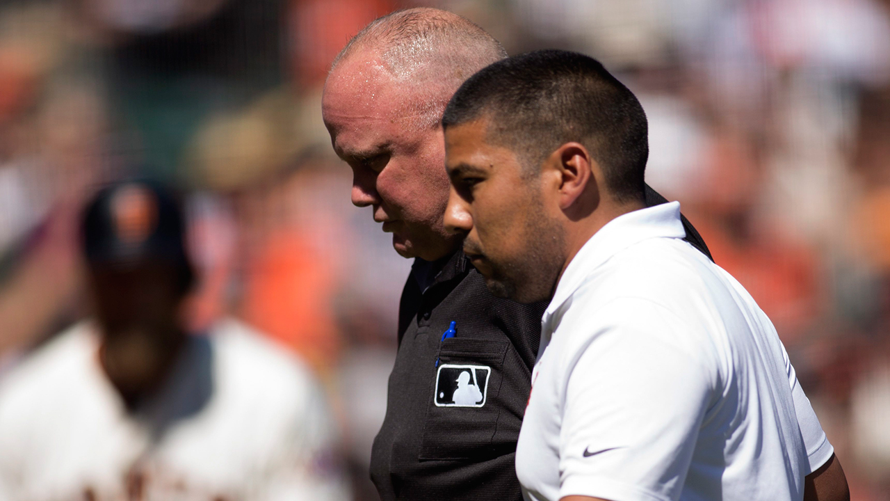 Umpire hit by foul ball, leaves game with concussion 15 Minute News
