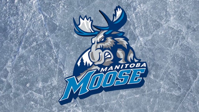 Manitoba Moose return to AHL with new look - Sportsnet.ca