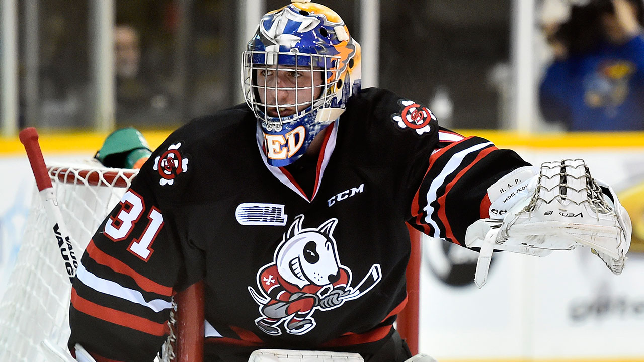 Alex Nedeljkovic; Niagara IceDogs; Flint Firebirds; Plymouth Whalers; OHL; CHL; OHL Playoffs; Carolina Hurricanes; 2014 NHL Entry Draft