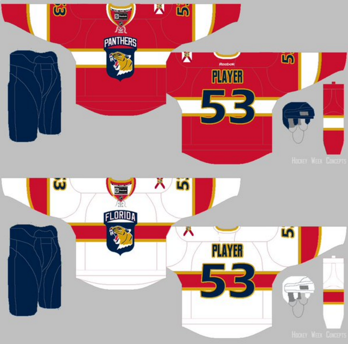 Mockup New Florida Panthers sweaters for 2016 17