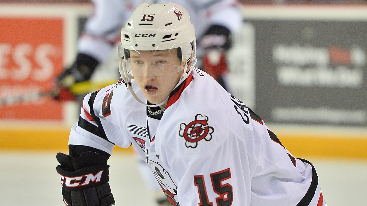 Niagara IceDogs rookie forward Oliver Castleman played his minor hockey with the Ottawa Jr. 67's. (Terry Wilson/OHL Images)