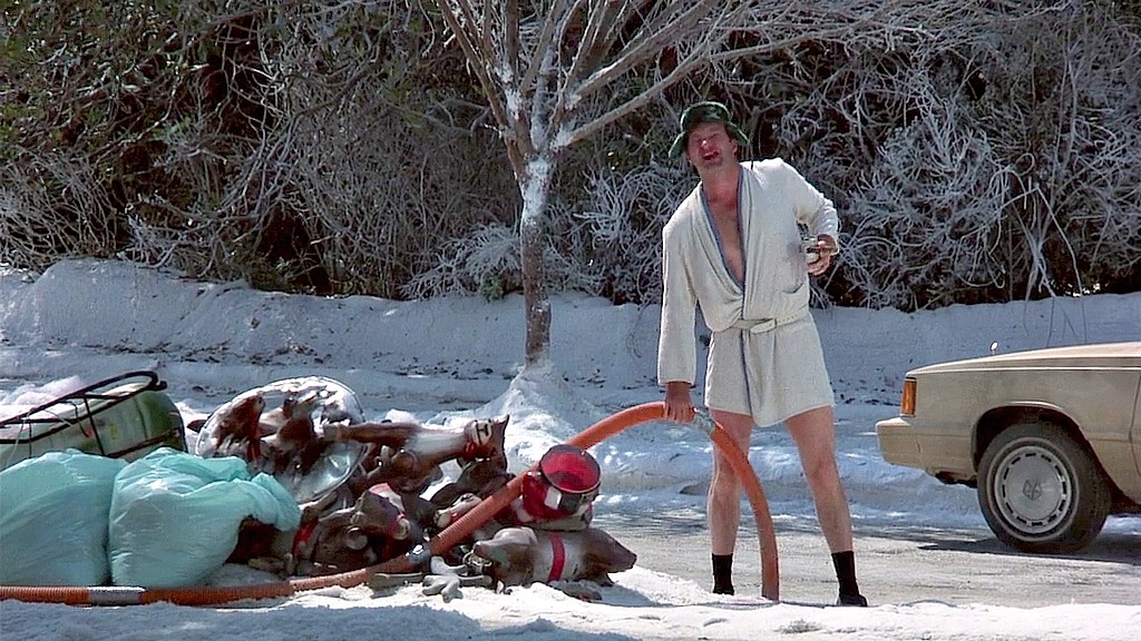 warnerbros_nlchristmasvacation_cousineddieshitter