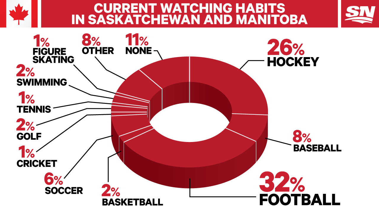 Top 10 Most Watched Sports in India 2024