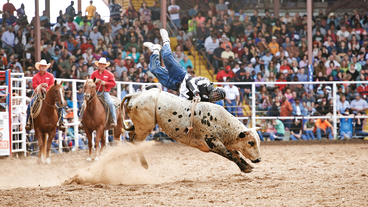 big-read-inside-louisiana-state-penitentiary-s-prison-rodeo-sportsnet-ca