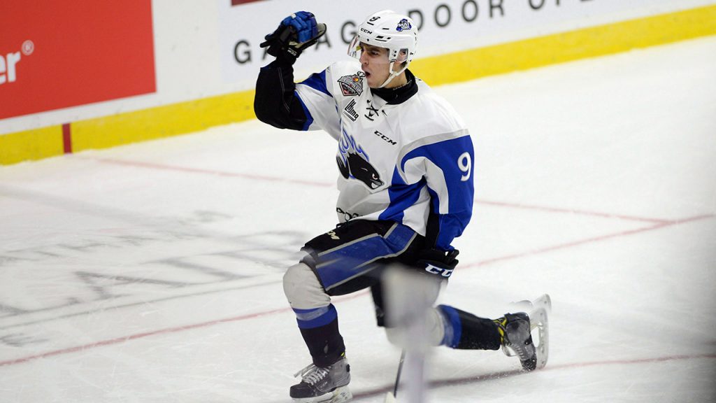 Saint John Sea Dogs center Joe Veleno celebrates his goal. (Adrian Wyld/CP)